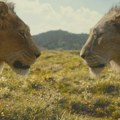 Imax premijera Diznijeve animacije „Mufasa: Kralj lavova“ u sredu u Beogradu