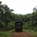 Brazil: Krčenje Amazonije za šest meseci smanjeno za 33,6 odsto