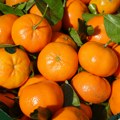 Kako mandarine pomažu vašem zdravlju