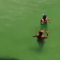 Vriska na plaži Kupali se u plićaku, a onda se u vodi pojavilo nešto crno i ogromno (video)