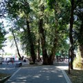 Danas vrelo, osveženje od ponedeljka, a onda sledi “toplotna kupola“