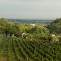 U potrazi ste za mirom i opuštanjem u prirodi Vikendica na Gruškoj gori za 37.000 evra; Na 200 metara od glavnog puta