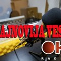 Pravosnažna presuda: Anđela Stoilović osuđena na sedam godina zatvora zbog nesreće sa smrtnim ishodom