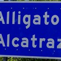 Ukinut "Aligator Alkatraz": Pukao Trampov projekat vredan 1,2 milijarde dolara!