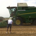 Šta pokazuju prvi otkosi pšenice u Vojvodini
