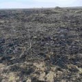 U požaru uništeno 30 hektara rezervata kod Sombora: Oštećena staništa strogo zaštićenih vrsta biljaka i životinja…