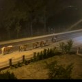 Stado konja šetalo Ulicom Vuka Karadžića