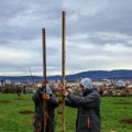 Zasađeno sto novih sadnica drveća na Bagdali! Kruševac planira da zasadi 700 mladica (foto)