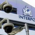 Interpol: Zaplenjeno 30.000 životinja u akciji protiv šverca divlje flore i faune