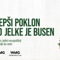 Најлепши поклон испод јелке је бусен: Компанија Вирелесс Медиа Гроуп (ВМГ) подржала иницијативу „Спаси своју јелку”