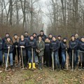 Milšped započeo višegodišnju sadnju drveća u Bojčinskoj šumi: jedan tim, više od 4.000 stabala