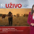 Dan uživo: Šta ostaje posle požara?