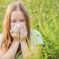 Do kada će nas gušiti alergije? Ova tri grada na udaru ambrozije, vrednosti polena povećane čak 10 puta