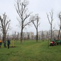 Akcija čišćenja i uređenja grada nastavljena u Limanskom parku