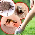 Nastavlja se suzbijanje komaraca i krpelja: Pogledajte da li je vaše naselje na spisku