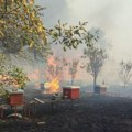 Požari u Brezoniku i Banjskom polju. Goreli voćnjaci i pčelinjaci