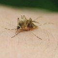 Batut: U Srbiji, u ovoj godini, 16 obolelih od groznice Zapadnog Nila