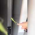 (Video) Bogomoljke opsedaju Beograd: Ženka proždire mužjaka posle paranja: Za neke stare narode bile su svete, a naša doktorka…