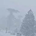 Neverovatne scene iz južne Amerike! Sneg i oluje pogodile Argentinu i Čile: Vetrovi orkanske jačine izazvali haos (foto, video)…