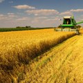 Hrvatski ratari pred bankrotom: Sto kilograma pšenice kao pet kugli sladoleda