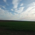 Hektar zemljišta u Vojvodini koštao 5.000, sada i 120.000 evra: Kako se odnosimo prema važnom resursu i kako ga očuvati