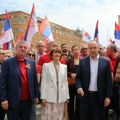 FOTO, VIDEO: Socijalisti i naprednjaci obeležili Dan pobede u Novom Sadu