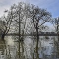 Zašto bi trebalo da ulažemo u adaptaciju na klimatske promene?