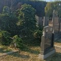 Pretužan prizor sa šabačkog groblja: Usamljen i "okovan" bršljenom, stoji simbol zaboravljanja pokojnika