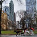 New York plans to ban horse-drawn carriages in Central Park starting in 2028