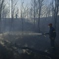 Ugašen jedan od požara u Grčkoj: Turisti se još ne vraćaju u hotele, automobili sprženi, vatra stigla do kapija kuća…