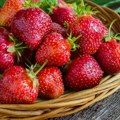 Jagode idu kao alva: Kako se kreću cene na pijacama