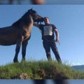 "Ne mogu da dođem sebi, zašto su ga izboli?" Milošu Dabiću konj ubijen na jeziv način - Policija u potrazi za počiniocem…