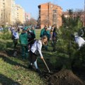 Nastavljena akcija sadnje: Novo naselje bogatije za 31 drvo