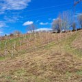 PD „Zlatiborski eko agrar“: Javni poziv za podsticaje u poljoprivredi