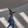 NEVEROVATNO: Vrane napadaju u Nišu [VIDEO]