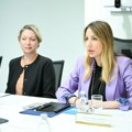U Minisarstvu energetike posebna organizaciona jedinica za nuklearnu energiju