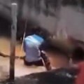 Anakonda duga pet metara prestravila kupače na plaži: Pozvani vojni vatrogasci da je uklone
