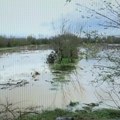 Uvedena vanredna odbrana od poplava na Južnoj Moravi kod Vranja