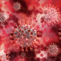U susedstvo stigli Eris i Forniks – novi podsojevi koronavirusa