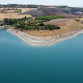 Voćka koja stvara MILIONE: Zasadite jednom i decenijama se sladite pravim BOGATSTVOM