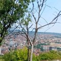 SPR Prokuplja krenuli u pripreme za lokalne izbore