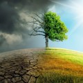 Brisel, Peking i UN za oštrije mere protiv klimatske krize – Tramp na udaru kritika