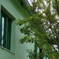 PRVI MAJ U SEOSKOJ KUĆI: Fragmenti doma koji još čuva miris prošlih vremena