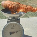 Čudo podno Durmitora: Na imanju porodice Čepić izrasla džinovska šargarepa!