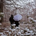 Sneg stiže i u Srbiju! Noć pred nama donosi zahlađenje i obilne padavine, a ovi delovi zemlje će se do vikenda zabeleti