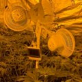 U iznajmljenoj kući napravili "baštu"! Razmontirana laboratorija za uzgoj marihuane! Uhapšena dvojica Kragujevčana (foto)