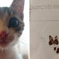 Ovaj crtež je danas ganuo Srbiju: Mala Petra iz Vranja traži svog voljenog mačka Tobija (foto)