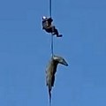 Krokodil od pola tone progutao biznismena! Policajca spustili u "reku smrti": Kada su rasporili zver, usledio je šok (foto…
