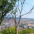 Vučiću, dođi nam i češće, biće bar čistije!