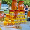 SABOR PČELARA PO 54. PUT NA DEVOJAČKOM BUNARU Proizvodnja meda kao turistički adut